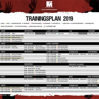 Trainingsplan Quartal 4 2019 Krav Maga Institut