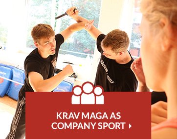 Krav Maga as company sport
