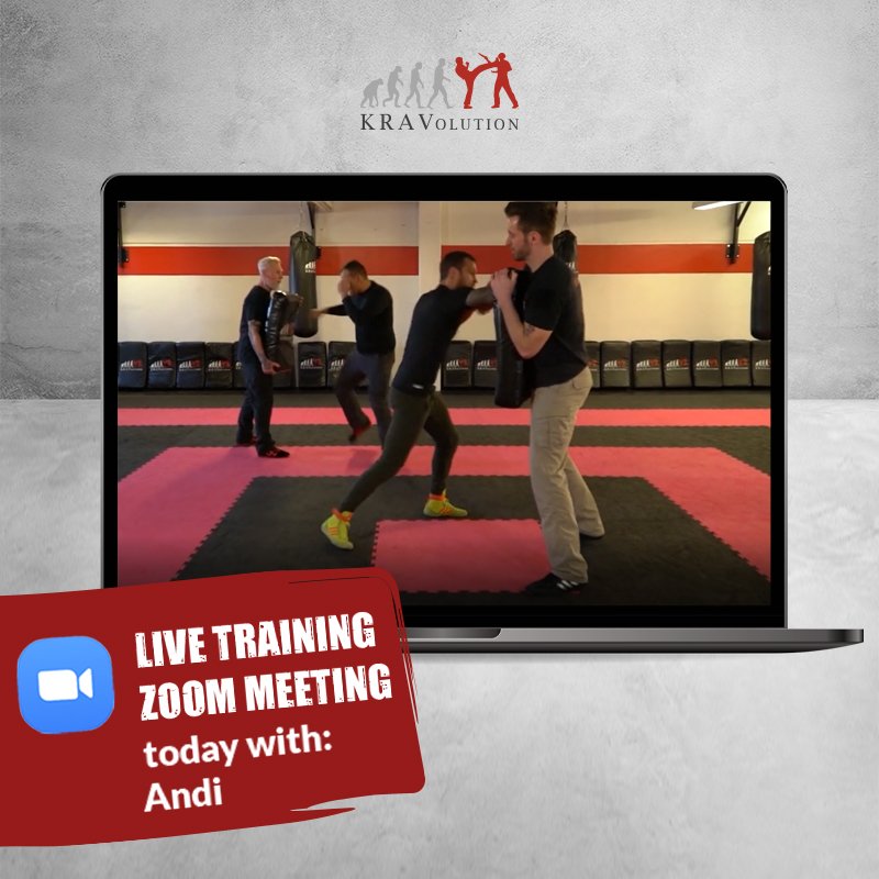 Zoom Meeting und Krav Maga online training mit Ändy