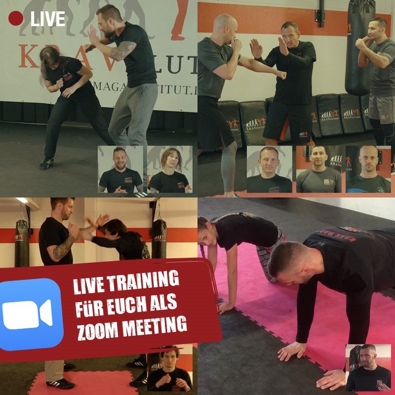 Zoom Webinar Krav Maga Institut